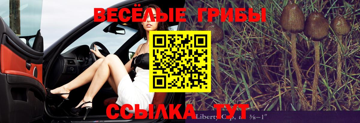 Галлюциногенные грибы Psilocybe  Вход с VPN  Протвино 